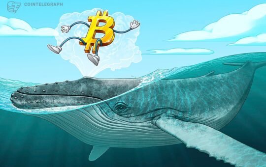 Bitcoin Whales Dump $12.7B In Largest Selloff Since 2022