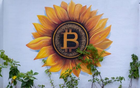 Blockchain Sleuth Points out El Salvador Might Be ‘Recycling Bitcoin’