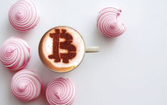 Cake Reveals Challenge to Hardware Wallets: Cupcake Turns Spare Phones Into Free, Air‑gapped Cold Storage