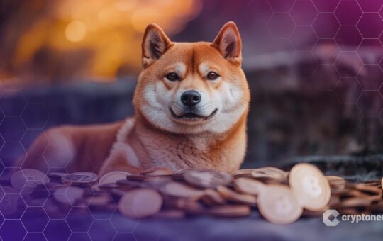 CleanCore Crosses 500 Million DOGE Mark in Push Toward 1 Billion Token Treasury