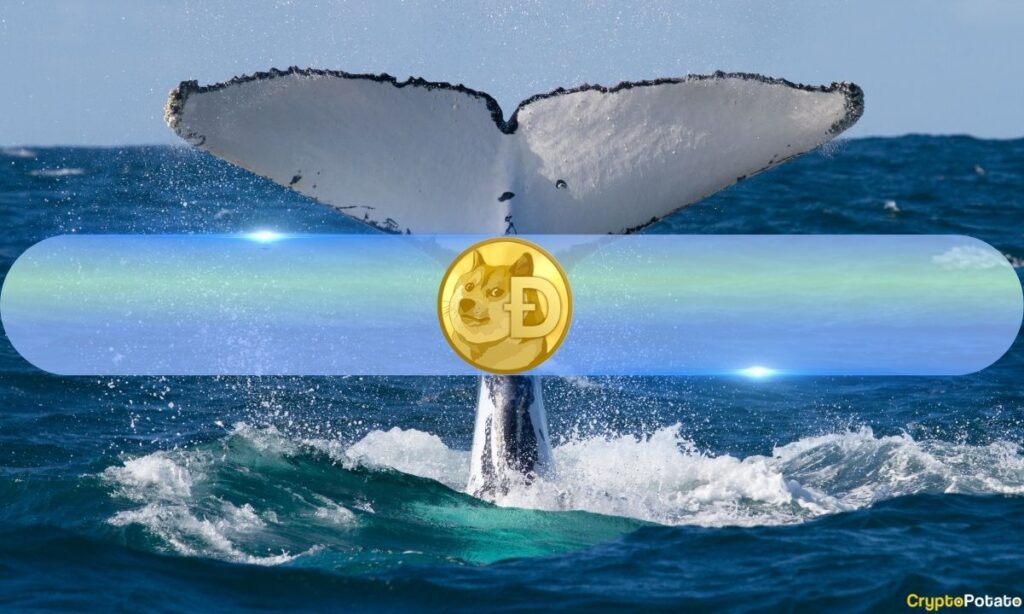 How Are DOGE Whales Reacting to Possible Dogecoin ETF? Santiment Weighs In