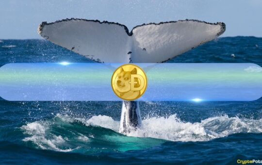 How Are DOGE Whales Reacting to Possible Dogecoin ETF? Santiment Weighs In