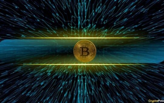 Is Bitcoin’s Decentralization at Risk? 29% of Newcomers Think So