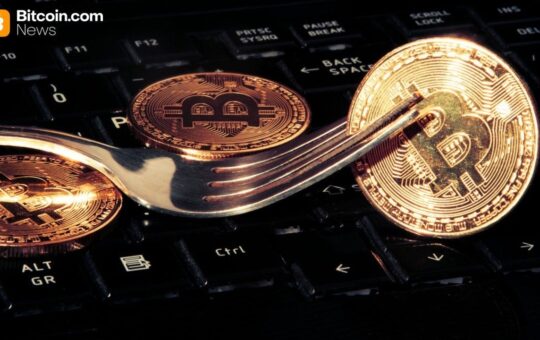 Knots Developer Luke Dashjr Plans Hard Fork To ‘Save Bitcoin’