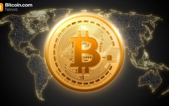 Report: Under 20,000 Addresses Hold More Than 60% of Bitcoin’s Supply