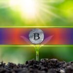 5 Key On-Chain Signals to Watch With Bitcoin at Fair Value