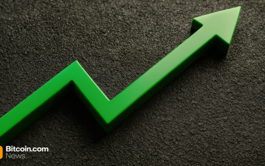 Stablecoin Sector Smashes Past the $290 Billion Milestone