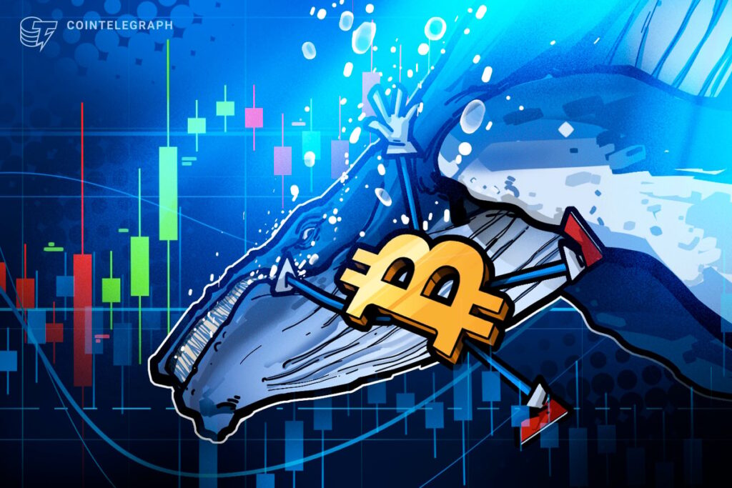 $11B Bitcoin Whale Shorts Bitcoin for $235M, Nets $200M In Market Crash