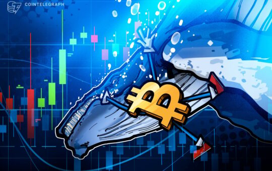 $11B Bitcoin Whale Shorts Bitcoin for $235M, Nets $200M In Market Crash