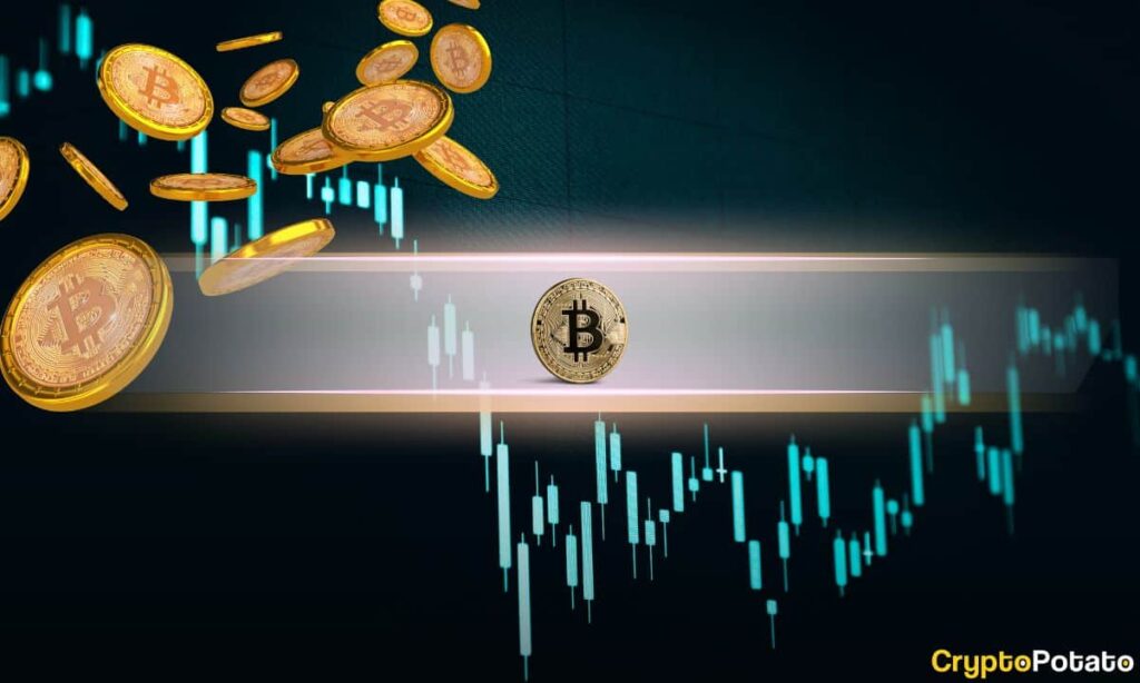 4-Year Bitcoin Cycle Is a 'Big Misunderstanding'