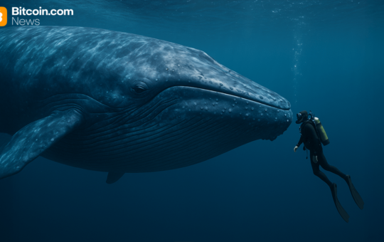 Ancient Bitcoin Awakens: 2011 Wallet Shifts 4,000 BTC After 14 Years of Silence