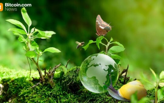 Bee Maps Raises $32M to Scale Solana‑Powered Decentralized AI Map