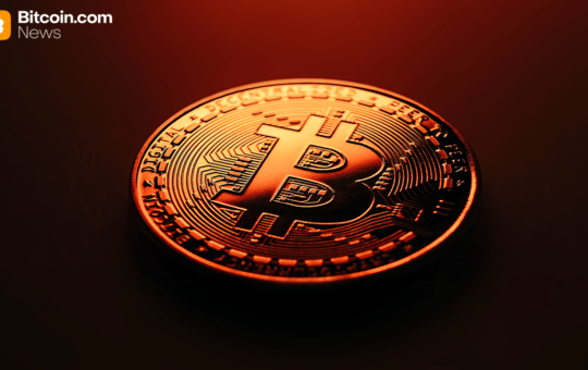 Bitcoin Crashes to $110,623 as Market Continues to Shake Out