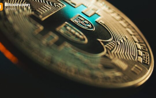 Bitcoin Sees Historic Institutional Uptake With 40% Rise in Public Company Holders