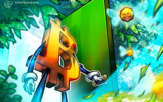 Bitcoin Short-Term Holders Struggle to Stay in Profit Despite ‘Euphoria’