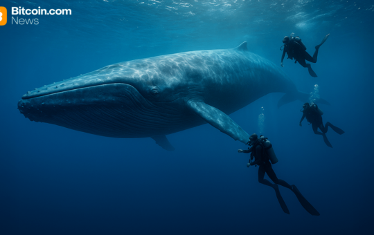 Bitcoin Whale’s $300M Transfer Sparks Speculation After Kraken Hot Wallet Transaction Goes Viral