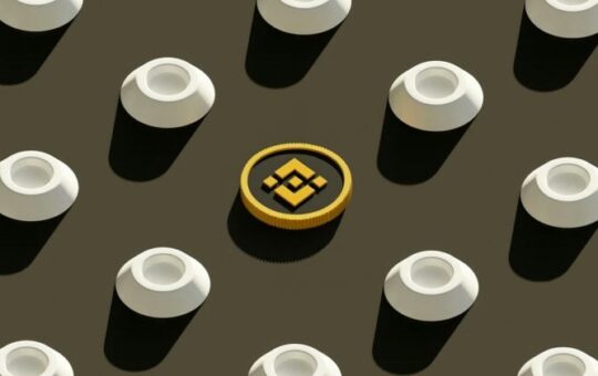 China Renaissance seeks $600M for BNB investment vehicle with YZi Labs participation