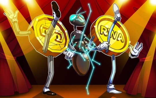 Crypto Funding Slows, but RWA, Stablecoin Startups Draw Capital