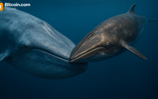 Dormant Whales Stir Amid Bitcoin’s Cool Down — $28 Million in Vintage BTC Just Shifted