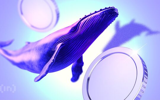 How Crypto Whales Played Trump’s Tariff-Induced Volatility