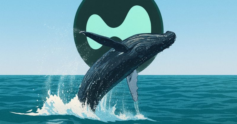 Hyperunit whale closes $86.6M Bitcoin shorts for $2.38M profit