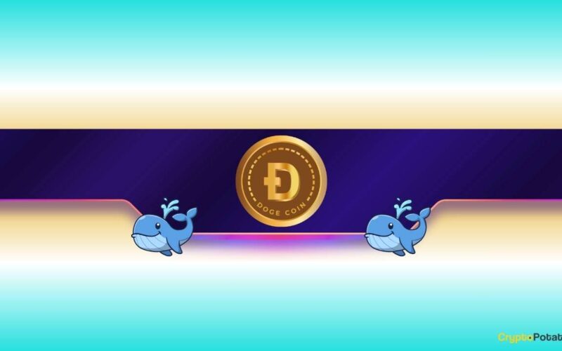 Is Dogecoin Gearing up for Further Rally?