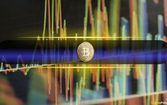 LTH Stability vs. STH Aggression Driving Bitcoin Market Volatility