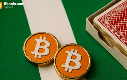 Nigerian Regulator Warns Crypto and Gambling Threaten Infrastructure Investment
