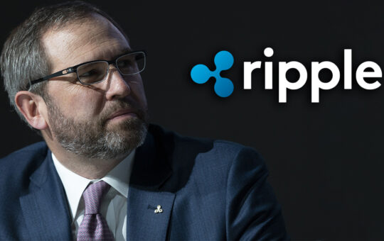 Ripple CEO SEC