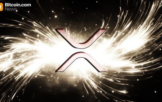 Ripple CEO Declares XRP Central to Everything Ripple Does—Garlinghouse Says ‘Lock in’