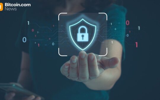 Ripple CTO Warns of Huge Phishing Surge as Seed Phrases Become Targets