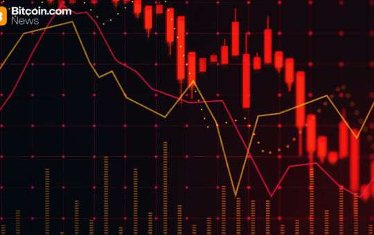 Surviving the Crash: XBO.com Founder Urges Discipline in Volatile Crypto Markets
