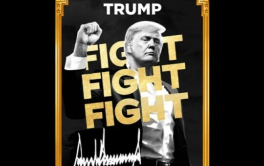 TRUMP meme coin backer eyes up to $1 billion funding for digital asset treasury