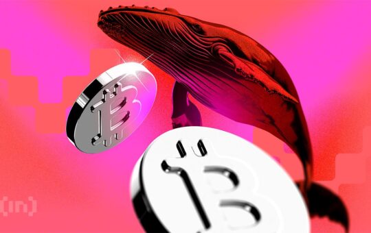 The Whale Who Called the Crash Is Betting Against Bitcoin Again