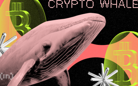 What Are Crypto Whales Buying and Selling in Upboter?