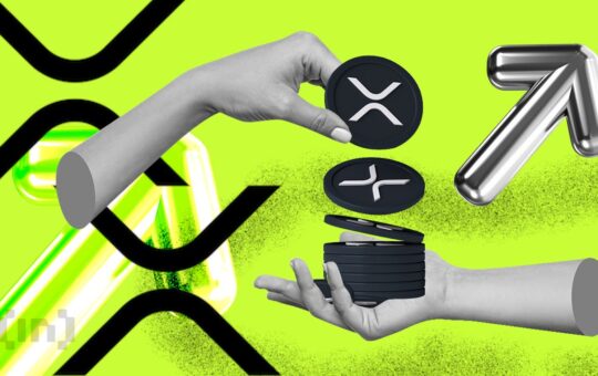 XRP Whale Holdings Fall To Its Lowest Levels Since 2023