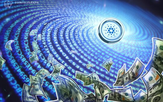 5-Year Cardano Holder Loses $6M from Stablecoin Swap