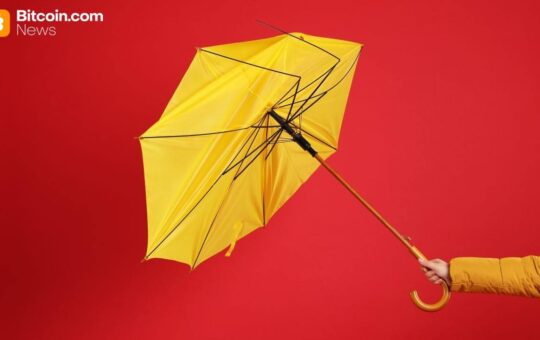 A Perfect Storm Has Sent Bitcoin Nosediving