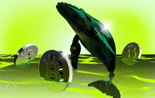 Bitcoin Whales Move Again, What Are They Seeing That We Don’t?