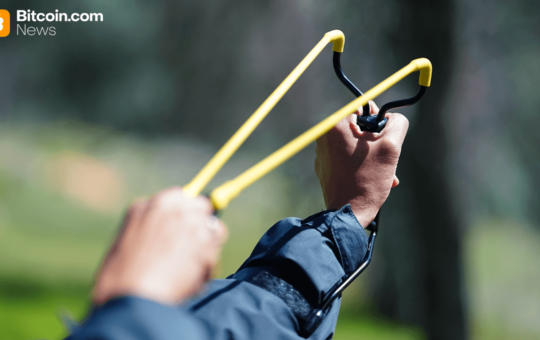 Bitcoin’s Brutal Flush Sets the Stage for a Violent Upside Rebound