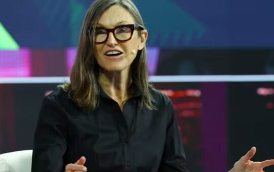 Cathie Wood's ARK Invest purchases 353,328 Circle shares