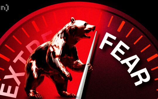 How To Catch The Next Altcoin Rally On Time