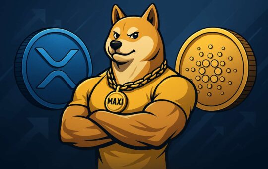 Các đồng coin tiềm năng