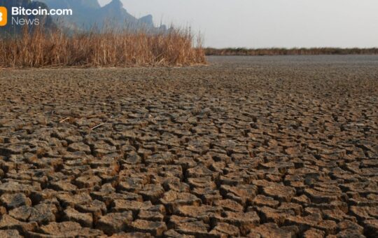 Mike McGlone’s Scorched Earth Prediction: $56K Bitcoin in the Horizon