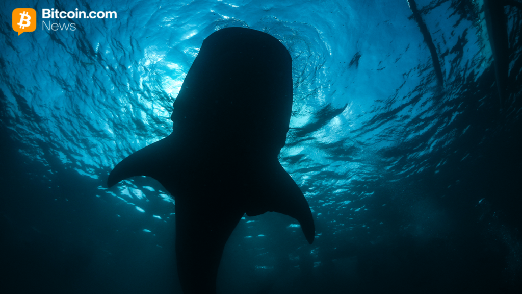 Onchain Analyst: Long-Sleeping Bitcoin Whale Resurfaces, Shifting 2,300 BTC to Paxos Wallet