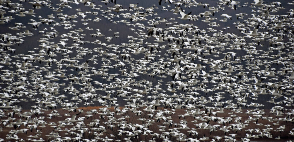 Quantitative finance professionals not clued-in when it comes to AI