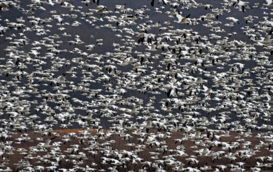 Quantitative finance professionals not clued-in when it comes to AI