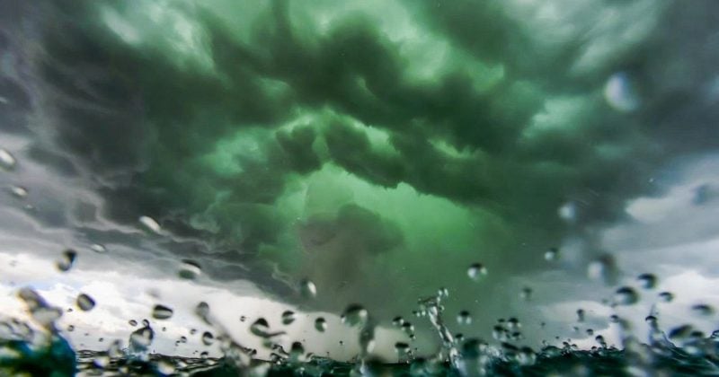 RAIN token pumps 100% as Enlivex announces $212M private placement for RAIN treasury strategy