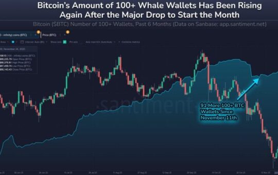 Santiment observes surge in Bitcoin wallets holding 100 BTC