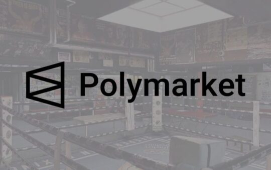 UFC’s parent company signs multiyear deal with Polymarket to bring real-time prediction markets to live fights